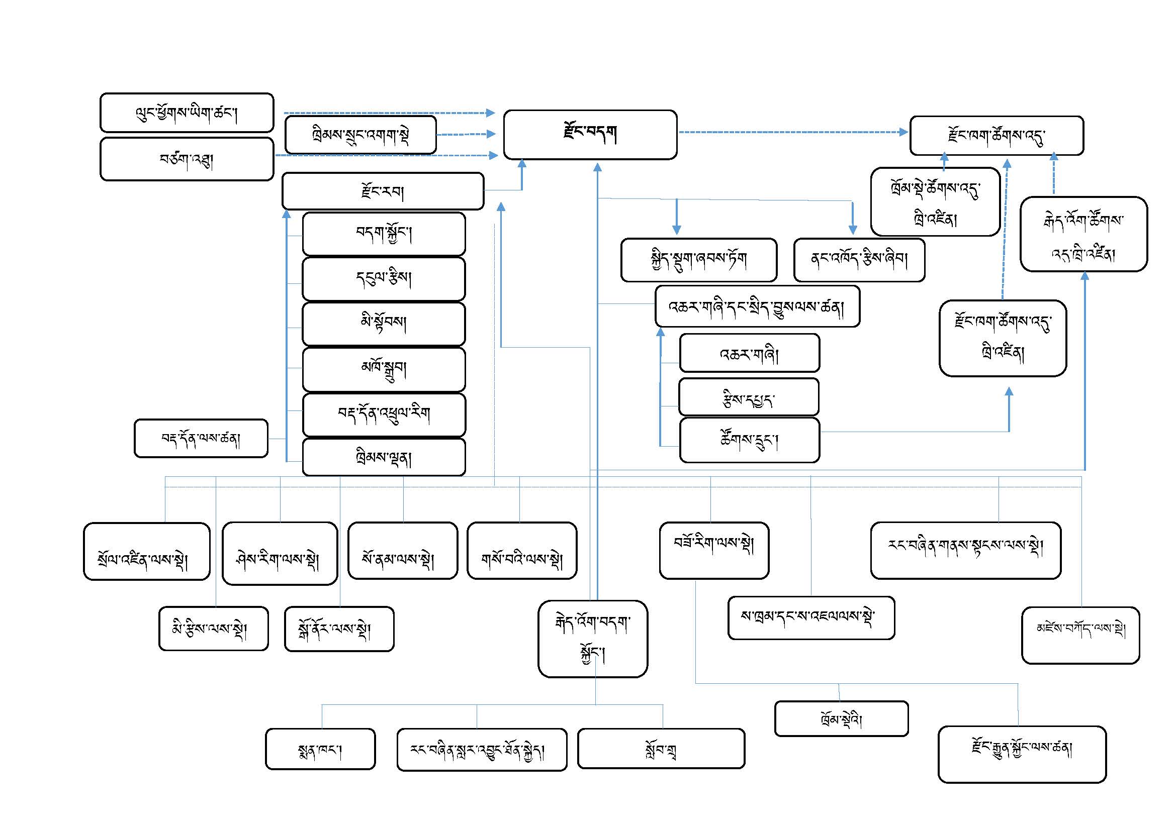 organogram