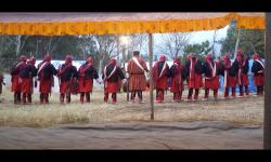 Annual Dromchoe 2018